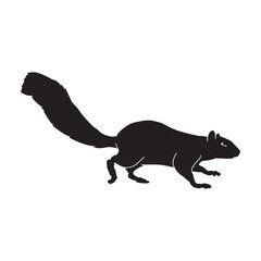 Squirrel vector animal black silhouette.