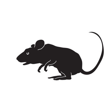 Silhouette of realistic rat in isolate on a white background. Vector illustration