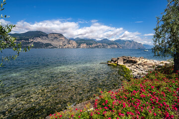 Klares Wasser am Strand von Brenzone rote Rosen im Vordergrund, Berge im Hintergrund