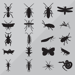insect icons set