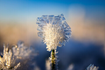 frozen water crystals