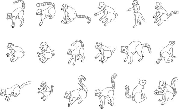 Lemur icons set. Isometric set of lemur vector icons for web design isolated on white background outline