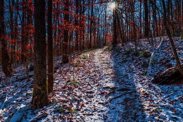Hiking trail through a mountain forest with snow and bright sun in Short Springs Natural Area in Tullahoma, Tennessee USA.