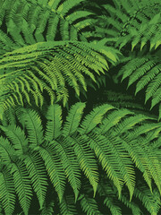 Fototapeta na wymiar Fern Leaves pattern of New Zealand