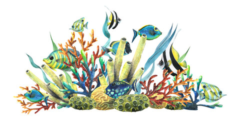 Sea sponges, corals, algae and tropical, bright fish. Watercolor illustration. Composition from the collection of TROPICAL FISH. For decoration and design of summer and beach prints, decor