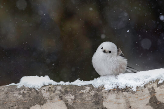 Ayollarning aygoqchi porno Lara Vendel yalangoch