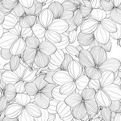 Seamless pattern of black line hydrangea flowers for fabric design. Luxurious line art of spring flowers.  - 556445727