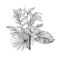 Set of three floral bouquets with black and white line hand drawn herbs, tropical leaves and insects in sketch style. - 556445731