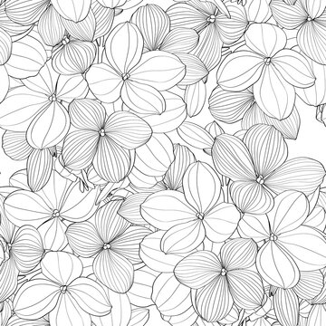 Seamless pattern of black line hydrangea flowers for fabric design. Luxurious line art of spring flowers. 