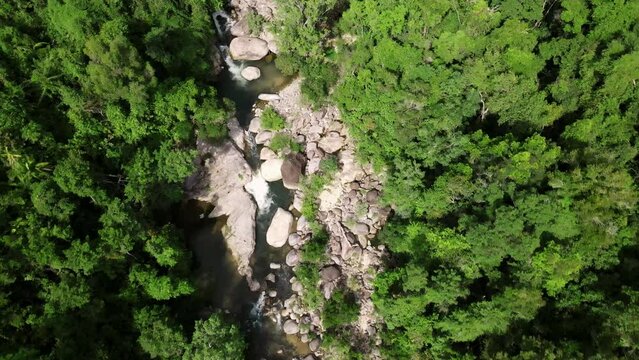 A mountain river in the middle of a green forest with trees and stones on the shore.
