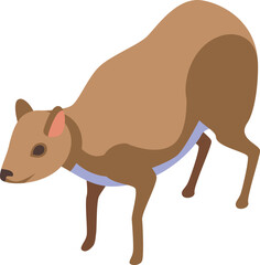 Myanmar animal icon isometric vector. Culture tourism. People holiday
