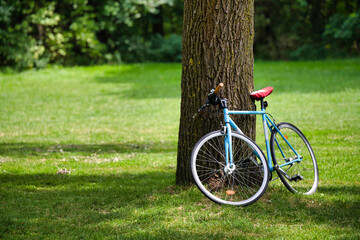 bike in the park outside, leather, hipster, saddle, style, scene, cycling, leaned, put down,...