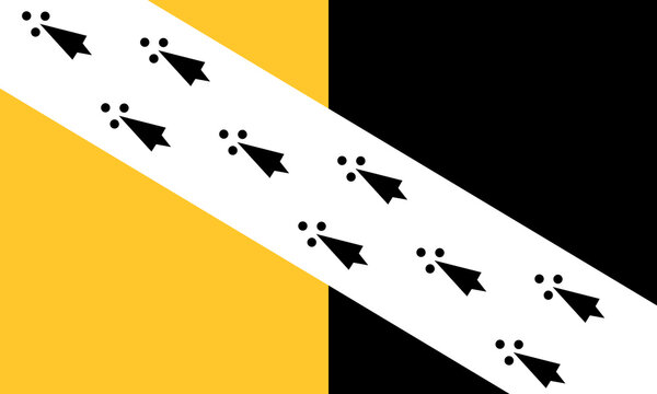 Flag of Norfolk Ceremonial county (England, United Kingdom of Great Britain and Northern Ireland, uk) vertical bi-colour of gold and black, with a white bend dexter bearing black ermine spots