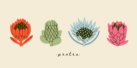 Various Protea flowers set. Abstract colorful flowers with leaves and branch. Hand drawn Vector illustration. Design decoration, print, icon, logo, tattoo idea templates. Isolated elements