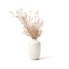 Boho Plants | Isolated Flowers | Flowers | Boho Plants | Boho Decor | Boho Flowers | Dry Flowers | Dried Plants | Dried Flowers | Pampas