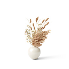 Boho Plants | Isolated Flowers | Flowers | Boho Plants | Boho Decor | Boho Flowers | Dry Flowers | Dried Plants | Dried Flowers | Pampas