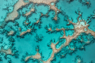 Fototapeta na wymiar Maupiti Island, French Polynesia, Society Islands, the wild sister of Bora Bora. Aerial footage