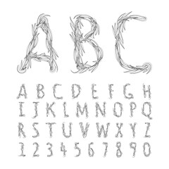 Collection Letter A B C vector alphabet with leaves on branches. ABC concept type as logo. Eco concept set of monogram letters with plants. Vector hand botanical drawn illustration