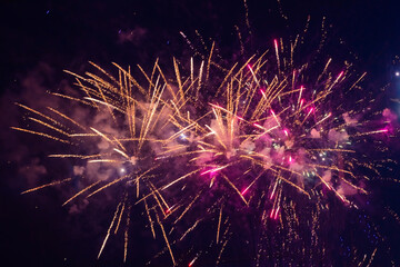 Bright, pink fireworks against the background of the night sky.