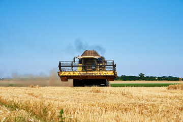 Combine harvester harvesting golden wheat field, harvester working in an agricultural field,...