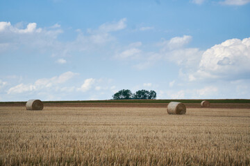 A field with bales of hay in the countryside in Belgium