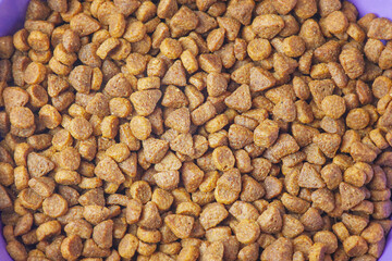 Dry dog food close up macro photo. Balanced nutrition for animals and pets.