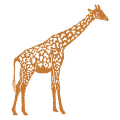Naklejka premium orange giraffe