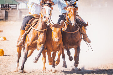 Imagens Gaúchas © Lucas Vieira