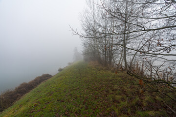 Kleiner See mit kahlen Bäumen im Winternebel