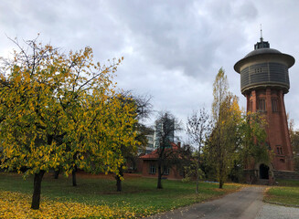 Tree lined street leading to an ornate brick water tower