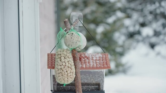 Some bird feeders on top of the pole to give foods for the bird on a winter cold season in Estonia