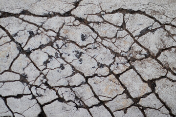 dry cracked ground