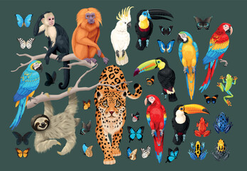 Big vector set of tropical animals and birds - obrazy, fototapety, plakaty