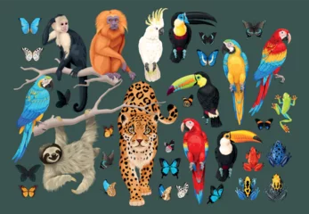 Big vector set of tropical animals and birds © olga_igorevna