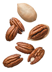 Multiple pecan nuts flying isolated on white background. Vertical layout