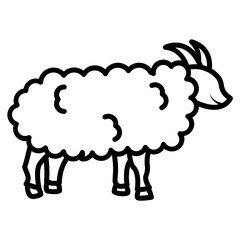 Sheep