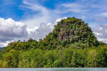 Rocks overgrown with forest next to mangroves in Kilim Geoforest Park, Langkawi, Malaysia. Wonderful natural landscape of Asia. View from the wide river to the forest and the mountain