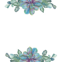 Naklejka premium Watercolor hand drawn border purple echeveria with green eucaliptus leaves isolated on white background