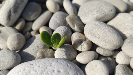 South Africa - Pile of pebbles