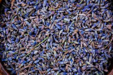 Macro photo of  dried lavender herb flowers.
