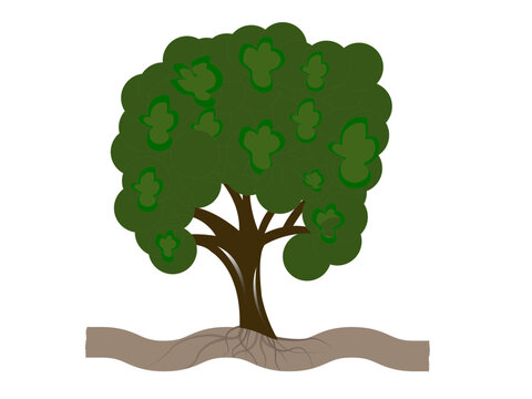 Tree Vector Art, Icons, and Graphics for Illustrations Free Download Tree wood Images, Free Vectors, Stock Photos and s vg icon vector design illustration and graphic. 