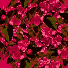 Seamless pattern Viva Magenta. Watercolor illustration of red wild flowers. Trendy color 2023. realistic digital paper