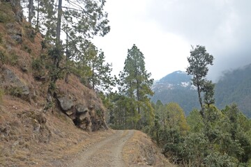 beautiful landscape with clouds in uttrakhand, india
