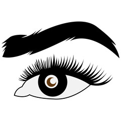 eyelash icon vector