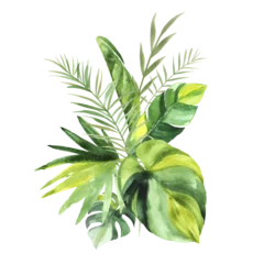 Photo sur Plexiglas Monstera Tropical bouquet with green watercolor leaves for wedding and ceremony decoration isolated on transparent