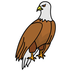 Eagle