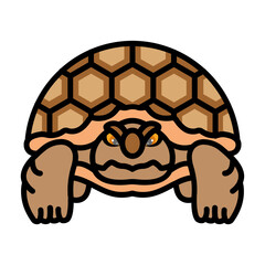 Tortoise