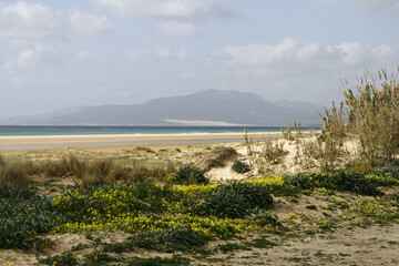 La belle plage de Tarifa, au bord de l'océan Atlantique, dans l'extrème sud de l'Andalousie en...