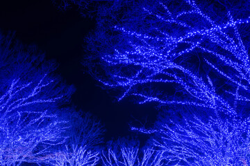 東京都渋谷区　青の洞窟　イルミネーション