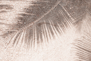 Fototapeta na wymiar Shadows of large palm leaves on white sand on the ocean. Decorative natural backdrop